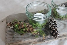 Treibholz Advents-Brett L 48