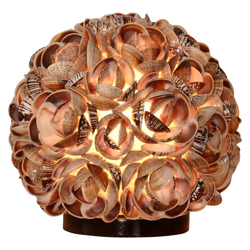 Designer muschel lampe kuredu - muschel,