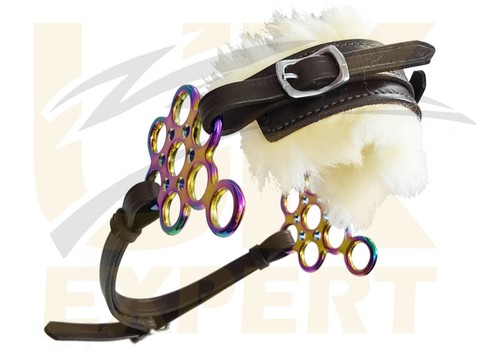 Expert regenbogen blume - uk,