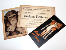 Werbung für Literatur z.B