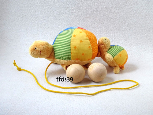 Sigikid schildkröte mit - schildkröte,