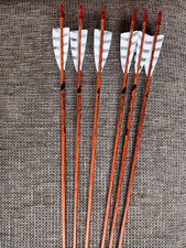 Nijora Carbonpfeile Bark Pro 600