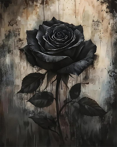Schwarze rose malen nach - schwarze,