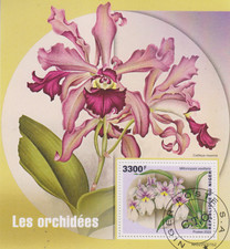 Blumen orchideen niger - blumen,