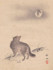 Marderhund und mond kanno - marderhund,