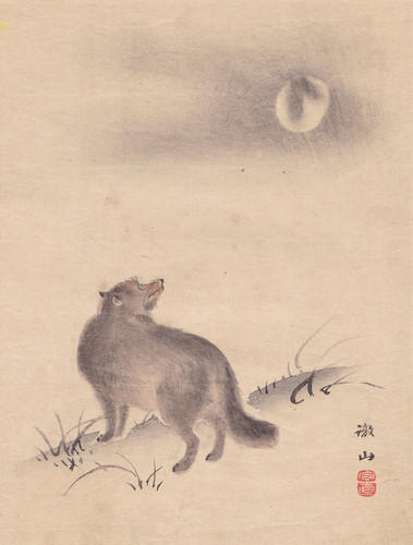 Marderhund und mond kanno - und,