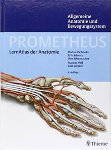 Prometheus lernpaket anatomie - lernpaket,