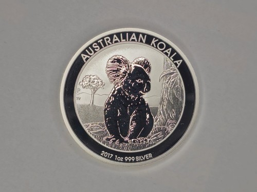 Australia koala 2017 - 1,