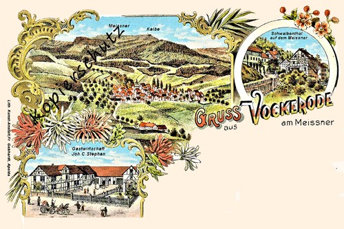 Vockerode meissner - ,