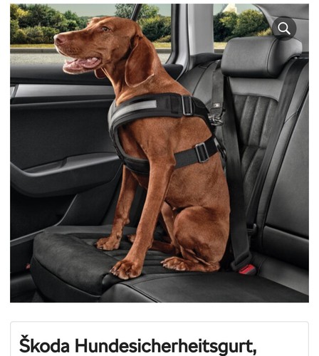 Hunde autosicherheitsgeschirr - hunde,