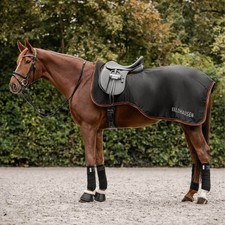 Waldhausen Regen Ausreitdecke