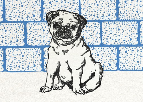 Charmante mops wandkunst - charmante, mops-wandkunst
