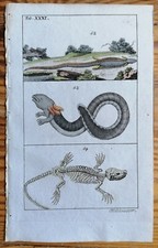 Wilhelm Original Print