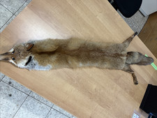 Rotfuchs Pelzstola Pelzkragen