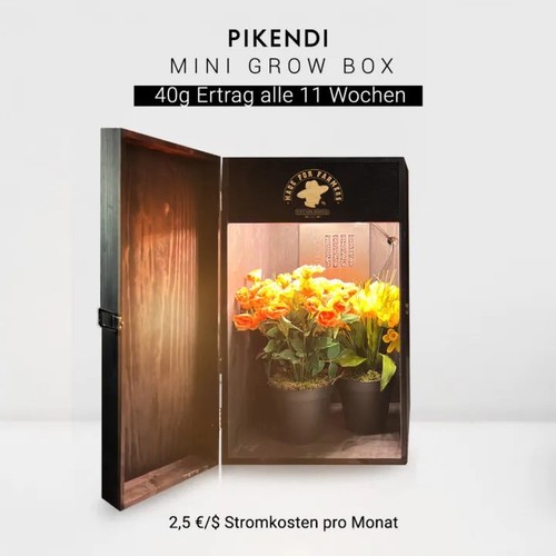Pikendi premium black mini - premium,