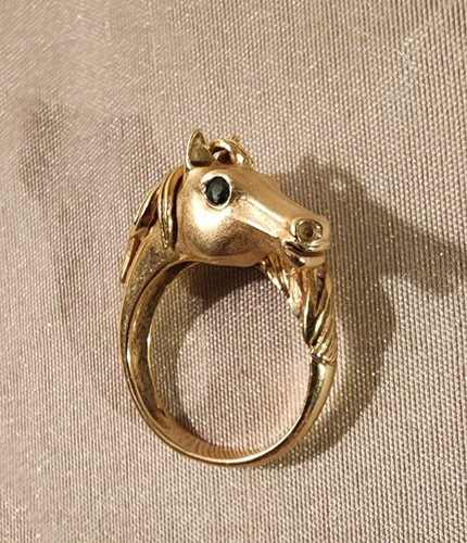 Goldring pferd mit - pferd,