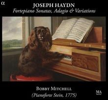 Fortepiano sonatas - fortepiano,