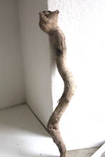 Schwemmholz Treibholz