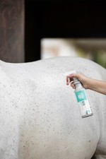 MagicBrush Reinigungslotion