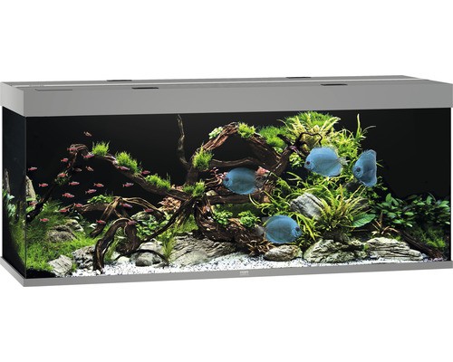 Aquarium juwel rio 450 - aquarium,