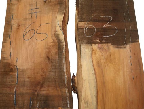 Eibe holz eibenholz - eibe,