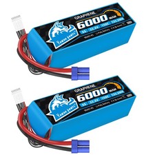 2X Yowoo EC5 6000mAh 6S 22.2V