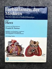 Farbatlanten der Medizin, Band 1: Herz - Netter / Thieme Verlag