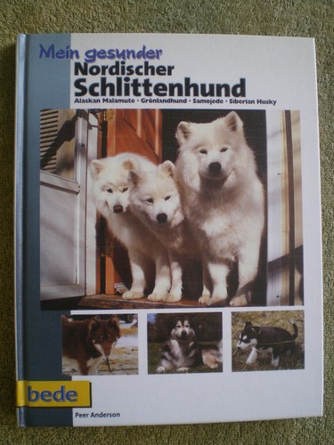 Nordischer schlittenhund - schlittenhund,