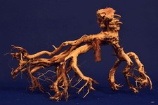 Aquarium Wurzel Bonsai /