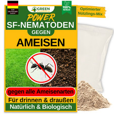 SF Nematoden gegen Ameisen–2