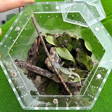 Terrarium für Reptilien
