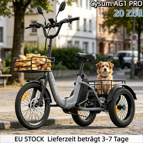 Zoll rad e trike 48v - zoll, e-trike