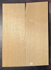 Sassafras | Gitarren Korpus |