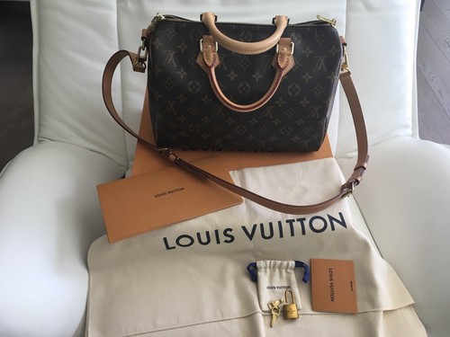 Louis vuitton speedy - louis, 30