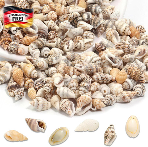 120 stück muscheln für - 120,