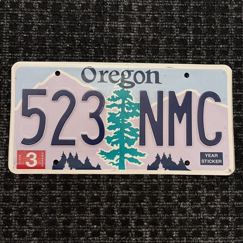Original auto kennzeichen - us,