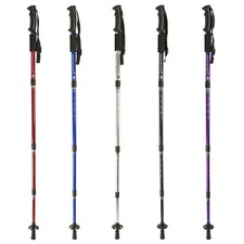 Teleskop Nordic Walking Stock