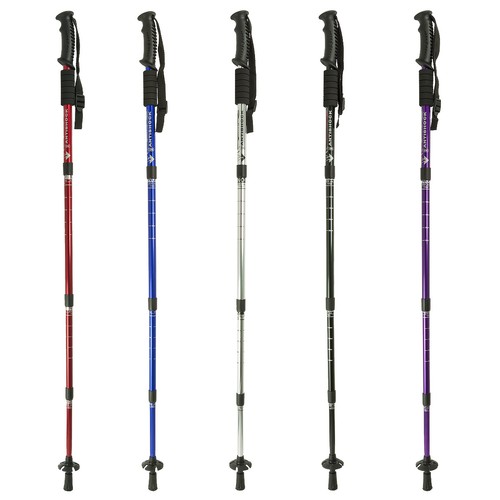 Teleskop nordic walking stock - teleskop,