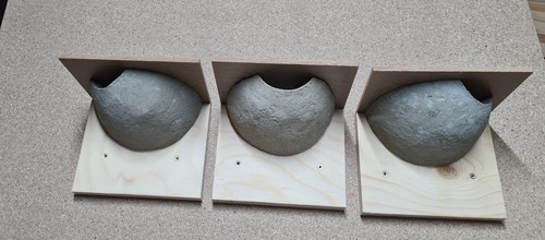 Mehlschwalben nester aus - 3,