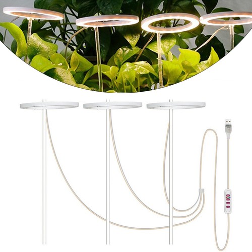 Lichtquelle das ganze spektrum - lichtquelle,