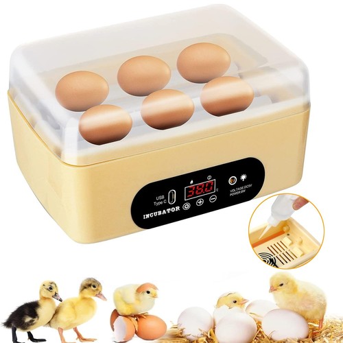 Eier brutautomat - 6,