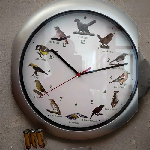Runde wanduhr vogelmotive - runde,