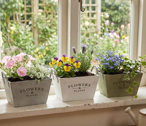 Blumen pflanz topf shabby - topf, "shabby"
