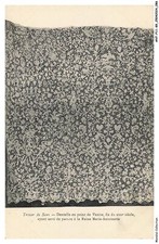 ANTP11-0943-89 - SENS -