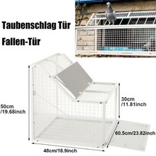 Taubenschlag Tür Abnehmbar