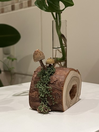 Reagenzglas vase holz - reagenzglas,