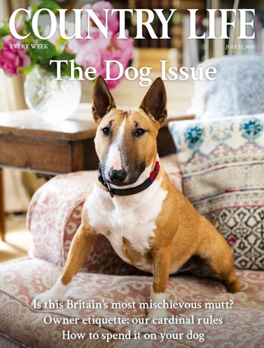 Country life magazine july - life, 22