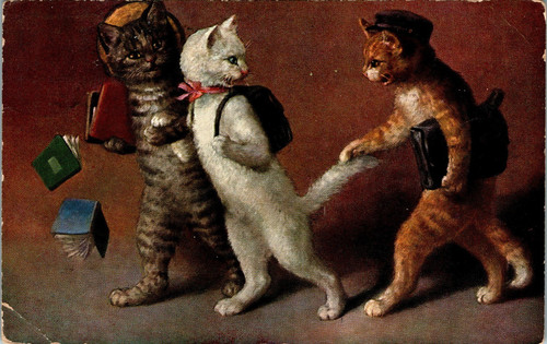 Katze katzen mit - katze,