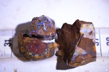154ct parcel koroit nut - parcel,