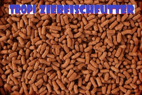 Cichliden sticks 2000ml - sticks,